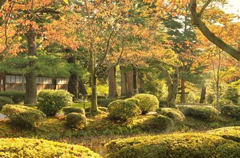 Japón: de Osaka a Tokyo en un viaje único ¡vuelos incluidos!.
